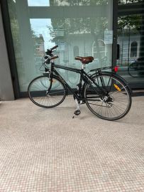 Bicicletta Alpina telaio alluminio