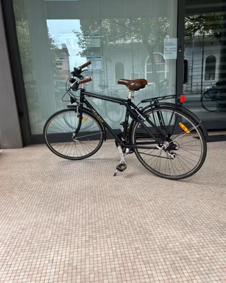 Bicicletta Alpina telaio alluminio