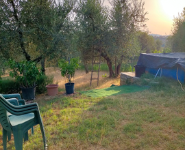 Terreno agricolo privato con (acqua e corrente)