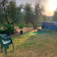 Terreno agricolo acqua e luce
