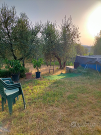 Terreno agricolo privato con (acqua e corrente)