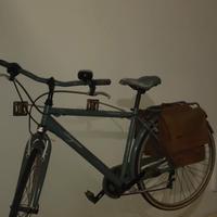 bicicletta stile vintage 
