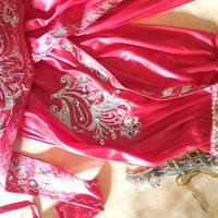 Abito carnevale tuta odalisca