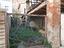 Immagine 18