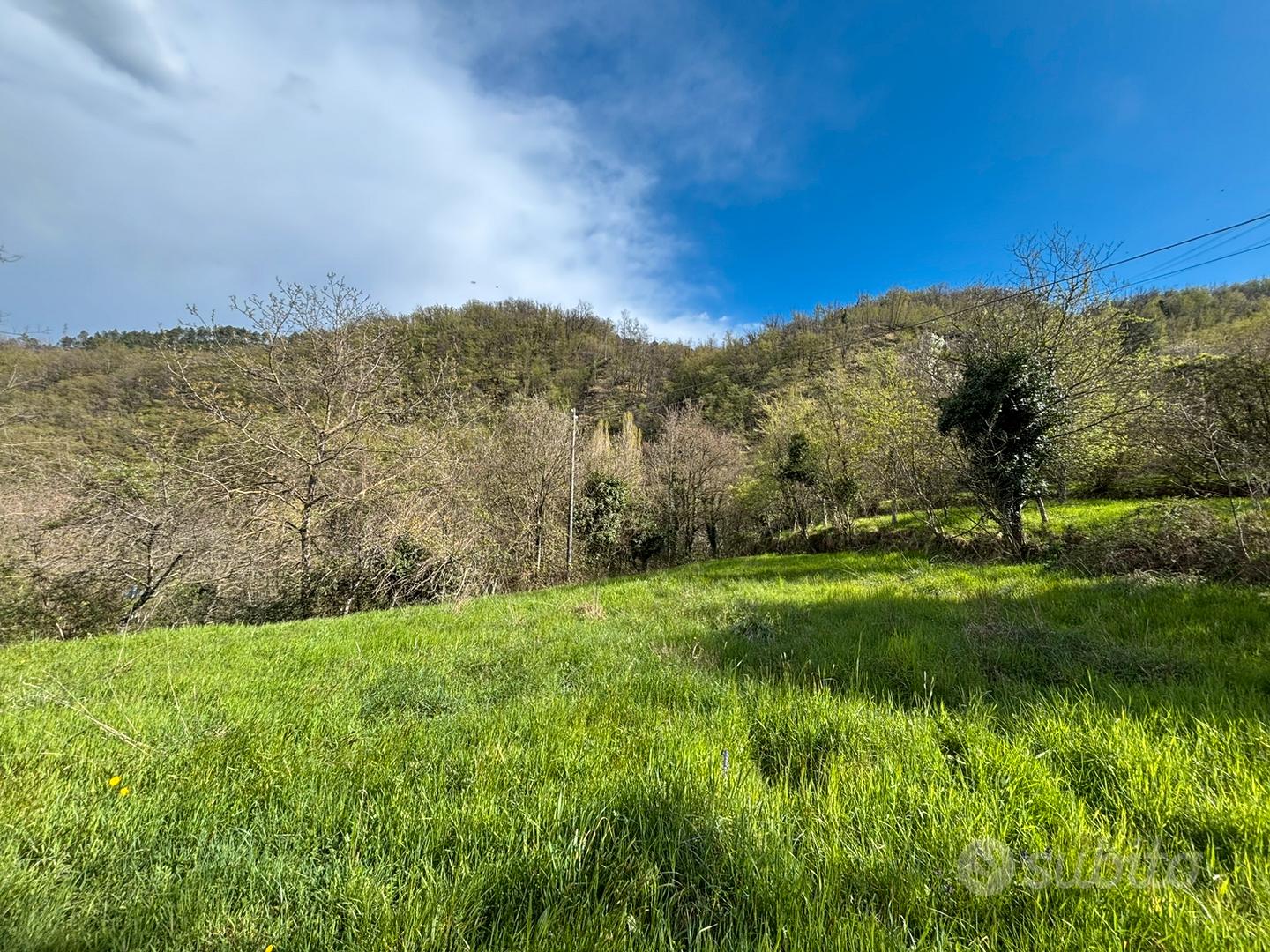 Terreno agricolo - Altro
