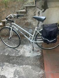 Bici da passeggio
