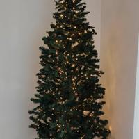 Albero di Natale con luci 30