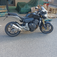 Honda hornet