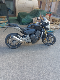 Honda hornet