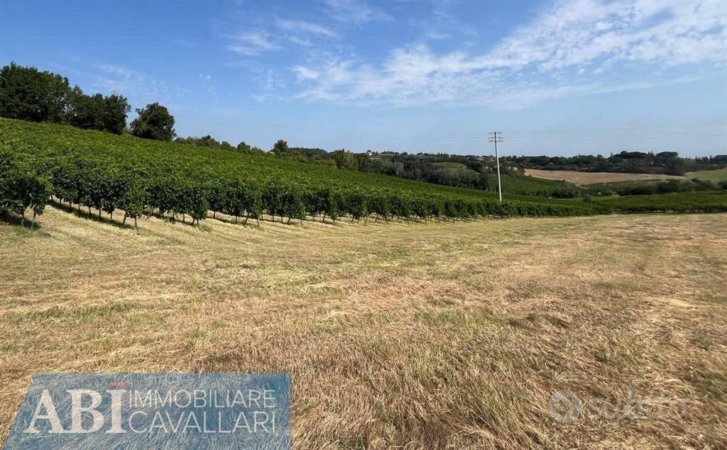 Terreno di 230000 m² a Imola - Vista 2