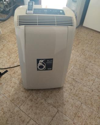 condizionatore pinguino DeLonghi 