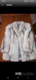 pelliccia volpe della Groenlandia 