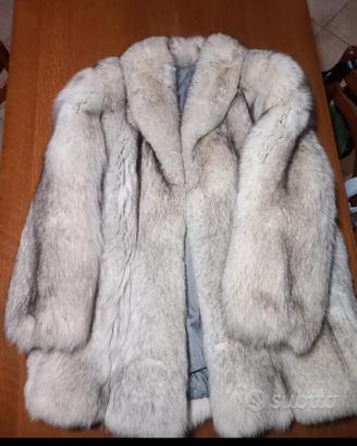 pelliccia volpe della Groenlandia 