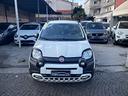 fiat-panda-1-0-firefly-s-s-hybrid-city-cross