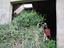 Immagine 16