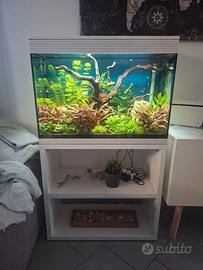 ACQUARIO ASKOLL