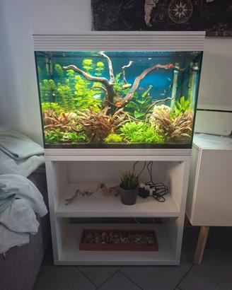 ACQUARIO ASKOLL