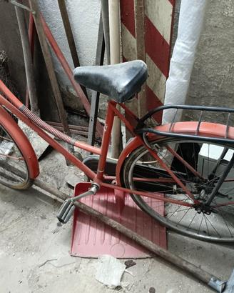 Bici Donna da passeggio