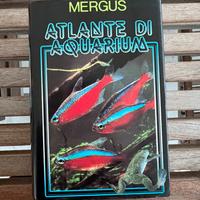 atlante  di aquarium