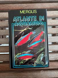 atlante  di aquarium