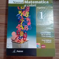 Nuova Matematica a Colori 1
