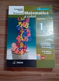 Nuova Matematica a Colori 1