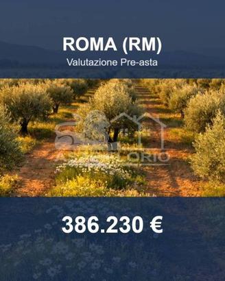 Immobile in asta di 57728 m² a Roma