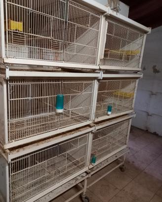 voliera per uccelli 300€