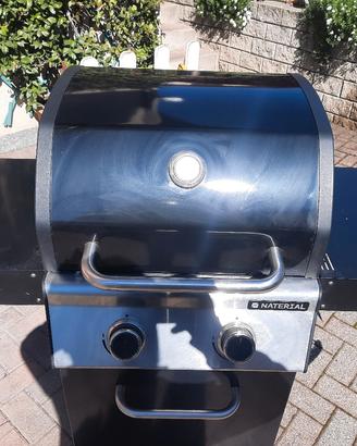 barbeque natirial