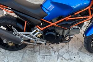 Ducati monster