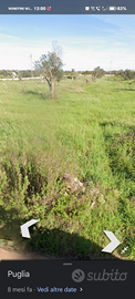 Terreno Agricolo di 12.600 metri quadrati