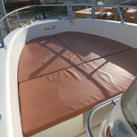 Barca Fiart Oasis 22