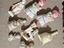 Immagine 1