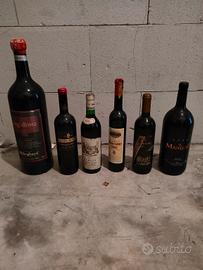 Bottiglie vino Valpolicella Verona 