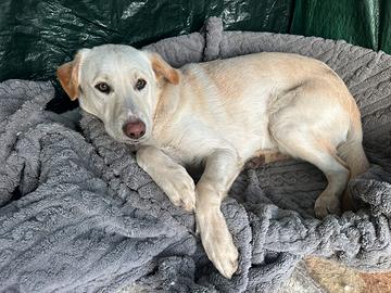 Riccardo aspetta la sua famiglia per sempre