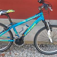 Bici da ragazzo Frera Kigan 24