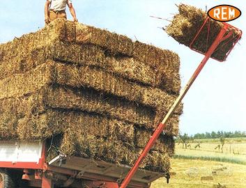 Caricaballe caricasacchi