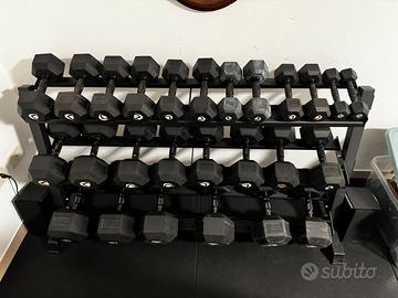 Rastrelliera Lacertosus Manubri HEX