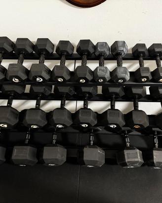 Rastrelliera Lacertosus Manubri HEX