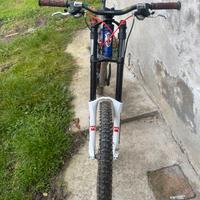 Bicicletta DH Scapin