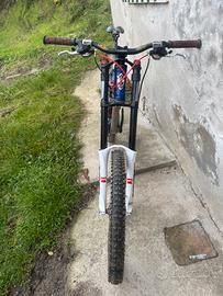 Bicicletta DH Scapin