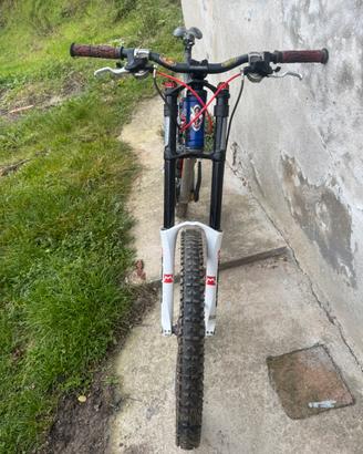 Bicicletta DH Scapin