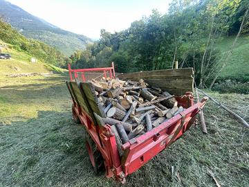 Legna da ardere mista castagno e frassino
