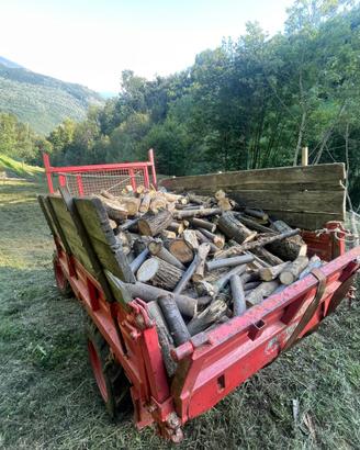 Legna da ardere mista castagno e frassino