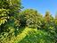 Immagine 29