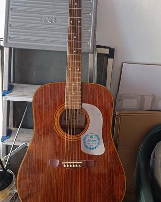 chitarra acustica Sea yong 