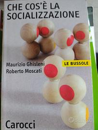 Che cos'è la socializzazione