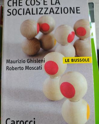 Che cos'è la socializzazione