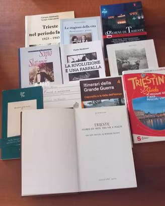 grande lotto libri su Trieste Carso e Friuli 