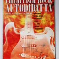 Chitarrista rock autodidatta